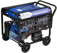 Сварочный генератор TSS GGW 5.0/200ED-R